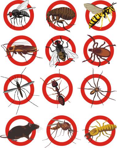 Pest control services by Swan's Pest Control LLC